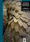 Cover: A Preliminary Assessment of Sunda Pangolin Trade in Sabah - Traffic Southeast Asia
