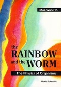 Cover: Rainbow And The Worm, The: The Physics Of Organisms - World Scientific Publishing Co Pte Ltd