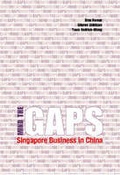Cover: Mind the GAPS - ISEAS