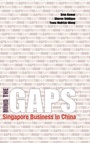 Cover: Mind the GAPS - ISEAS