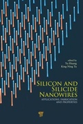 Cover: Silicon and Silicide Nanowires - Pan Stanford Publishing Pte Ltd