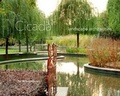 Cover: Cicada - Pesaro Publishing Pte Ltd