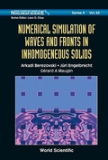 Cover: Numerical Simulation Of Waves And Fronts In Inhomogeneous Solids - World Scientific Publishing Co Pte Ltd