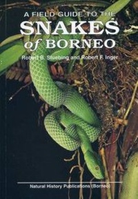 Abbildung von: A Field Guide to the Snakes of Borneo - Natural History Publications (Borneo),Malaysia