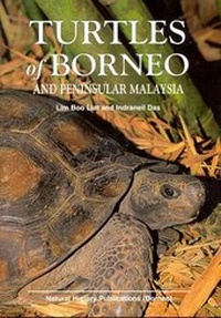 Abbildung von: Turtles of Borneo and Peninsular Malaysia - Natural History Publications (Borneo),Malaysia