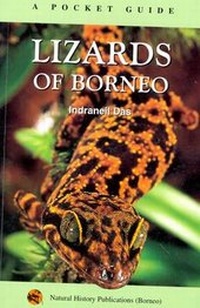 Abbildung von: Lizards of Borneo - Natural History Publications (Borneo),Malaysia