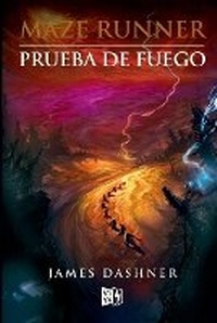 Enlarge image Cover: Maze Runner - VRYA