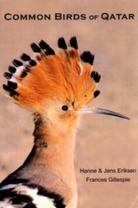 Enlarge image Cover: Common Birds of Qatar - Frances Gillespie