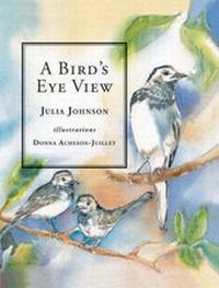 Enlarge image Cover: A Bird's Eye View - Jerboa Books