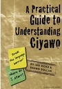 Cover: A Practical Guide to Understanding Ciyawo - Kachere Series