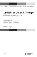 Cover: Straighten Up and Fly Right - Schott