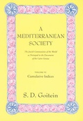 Cover: A Mediterranean Society, Volume VI - University of California Press