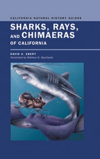 Abbildung von: Sharks, Rays, and Chimaeras of California - University of California Press