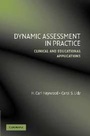 Cover: Dynamic Assessment in Practice - Cambridge University Press