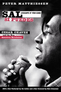 Abbildung von: Sal Si Puedes (Escape If You Can) - University of California Press