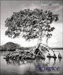 Cover: Environmental Science - McGraw-Hill Education (ISE Editions)