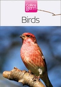 Cover: Birds - Collins