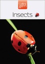 Cover: Insects - Collins