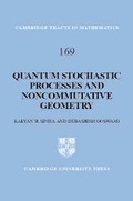Cover: Quantum Stochastic Processes and Noncommutative Geometry - Cambridge University Press