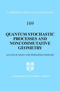 Cover: Quantum Stochastic Processes and Noncommutative Geometry - Cambridge University Press