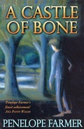 Cover: A Castle Of Bone - Red Fox