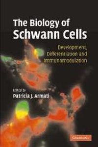 Abbildung von: The Biology of Schwann Cells - Cambridge University Press