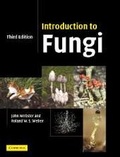 Cover: Introduction to Fungi - Cambridge University Press