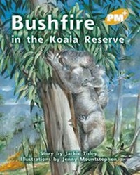 Enlarge image Cover: Bushfire in the Koala Reserve - Cengage Learning Australia