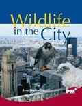 Cover: Wildlife in the City - Cengage Learning Australia