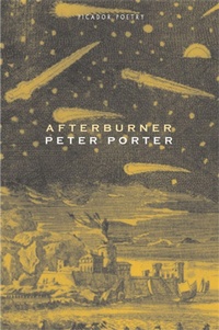 Enlarge image Cover: Afterburner - Picador