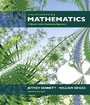 Cover: Using and Understanding Mathematics - Pearson