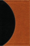 Cover: Zondervan NIV Study Bible: Personal Size - Zondervan