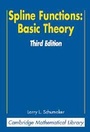 Cover: Spline Functions: Basic Theory - Cambridge University Press
