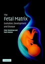 Cover: The Fetal Matrix: Evolution, Development and Disease - Cambridge University Press