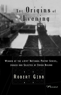 Enlarge image Cover: The Origins of Evening - WW Norton & Co