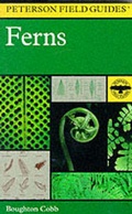 Cover: Field Guide to Ferns and Their Related Families - Houghton Mifflin (Trade)