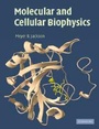 Cover: Molecular and Cellular Biophysics - Cambridge University Press