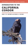 Cover: Introduction to the California Condor - University of California Press