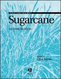 Cover: Sugarcane 2e - Wiley