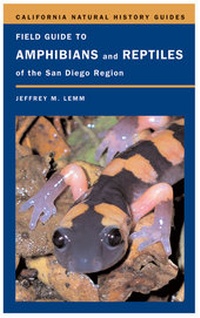 Abbildung von: Field Guide to Amphibians and Reptiles of the San Diego Region - University of California Press