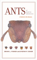 Cover: Ants of North America - University of California Press