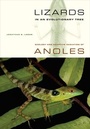 Cover: Lizards in an Evolutionary Tree - University of California Press