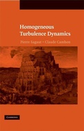 Cover: Homogeneous Turbulence Dynamics - Cambridge University Press