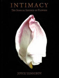 Enlarge image Cover: Intimacy - Joyce Tenneson