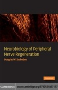 Abbildung von: Neurobiology of Peripheral Nerve Regeneration - Cambridge University Press