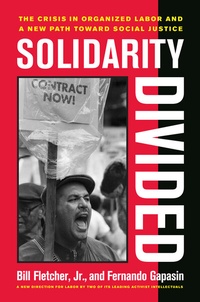 Enlarge image Cover: Solidarity Divided - University of California Press