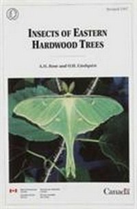 Abbildung von: Insects of Eastern Hardwood Trees - Canadian Forest Service,Canada
