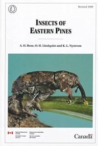 Abbildung von: Insects of Eastern Pines - Canadian Forest Service,Canada