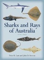 Cover: Sharks and Rays of Australia - CSIRO Publishing