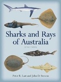 Cover: Sharks and Rays of Australia - CSIRO Publishing